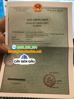 Chai xịt chống xuất tinh sớm Long Time (ngựa kéo xe) 5ml - Ảnh 3