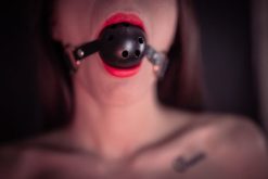 Ball Gag - Bóng khóa miệng cho tình yêu thăng hoa - Ảnh 7