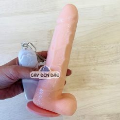 Dương vật giả dán tường JB Korean rung ngoáy - Ảnh 2
